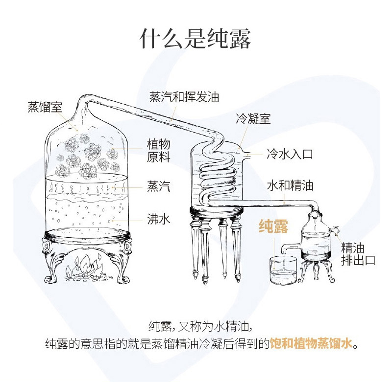 拼多多250ml草堂家综合链接_07.jpg